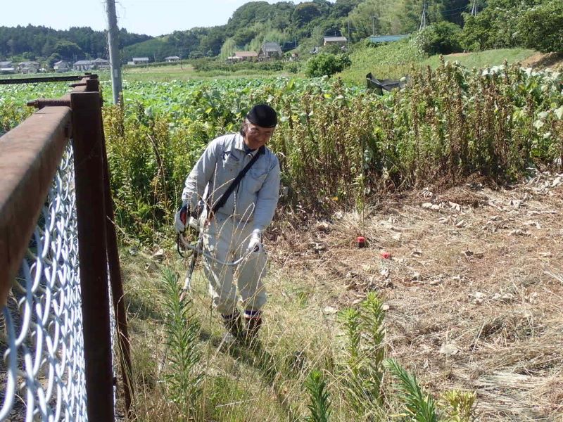 地域貢献活動4