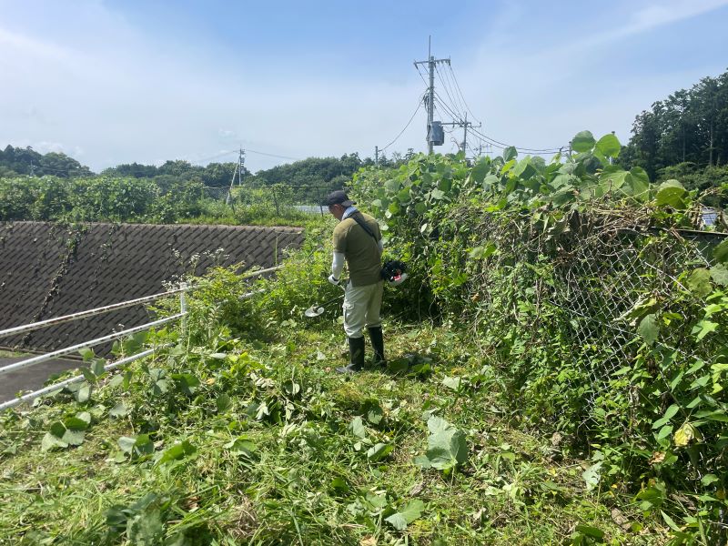 地域貢献活動1