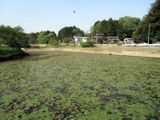 高寅寺下ため池護岸